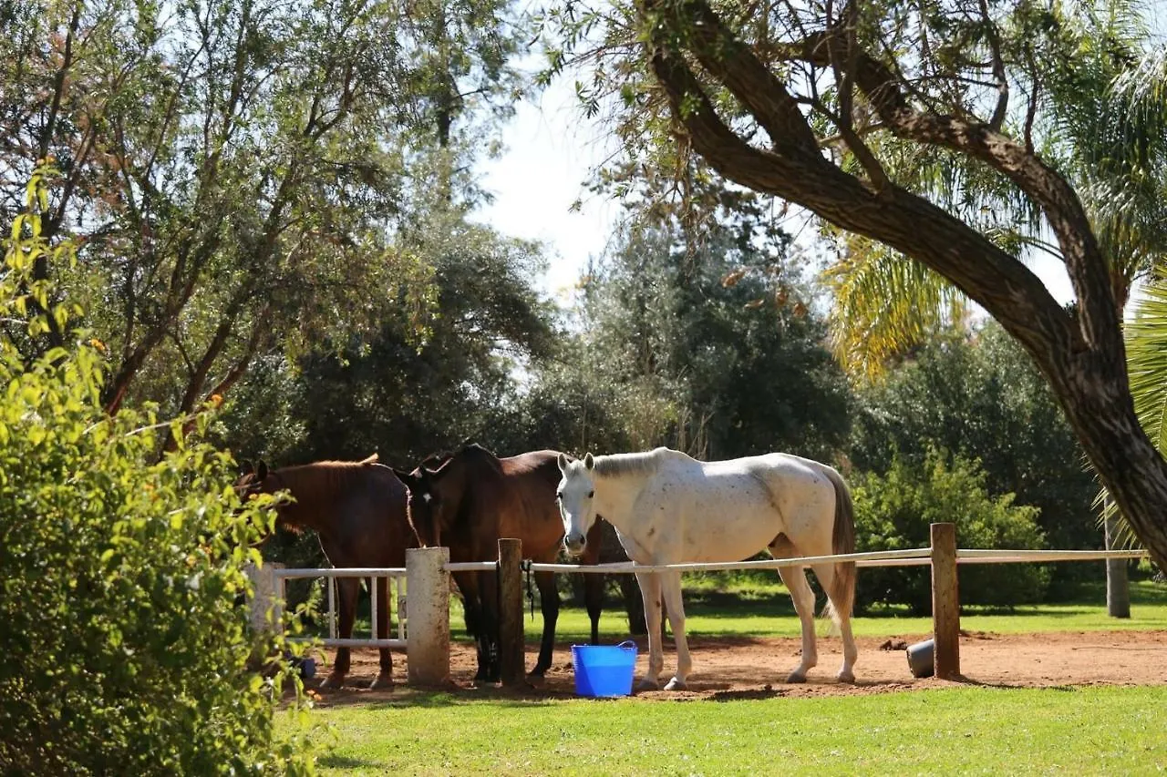 La Vie En Rose - Horses & Dogs House Bed & Breakfast Ait Hamid Morocco