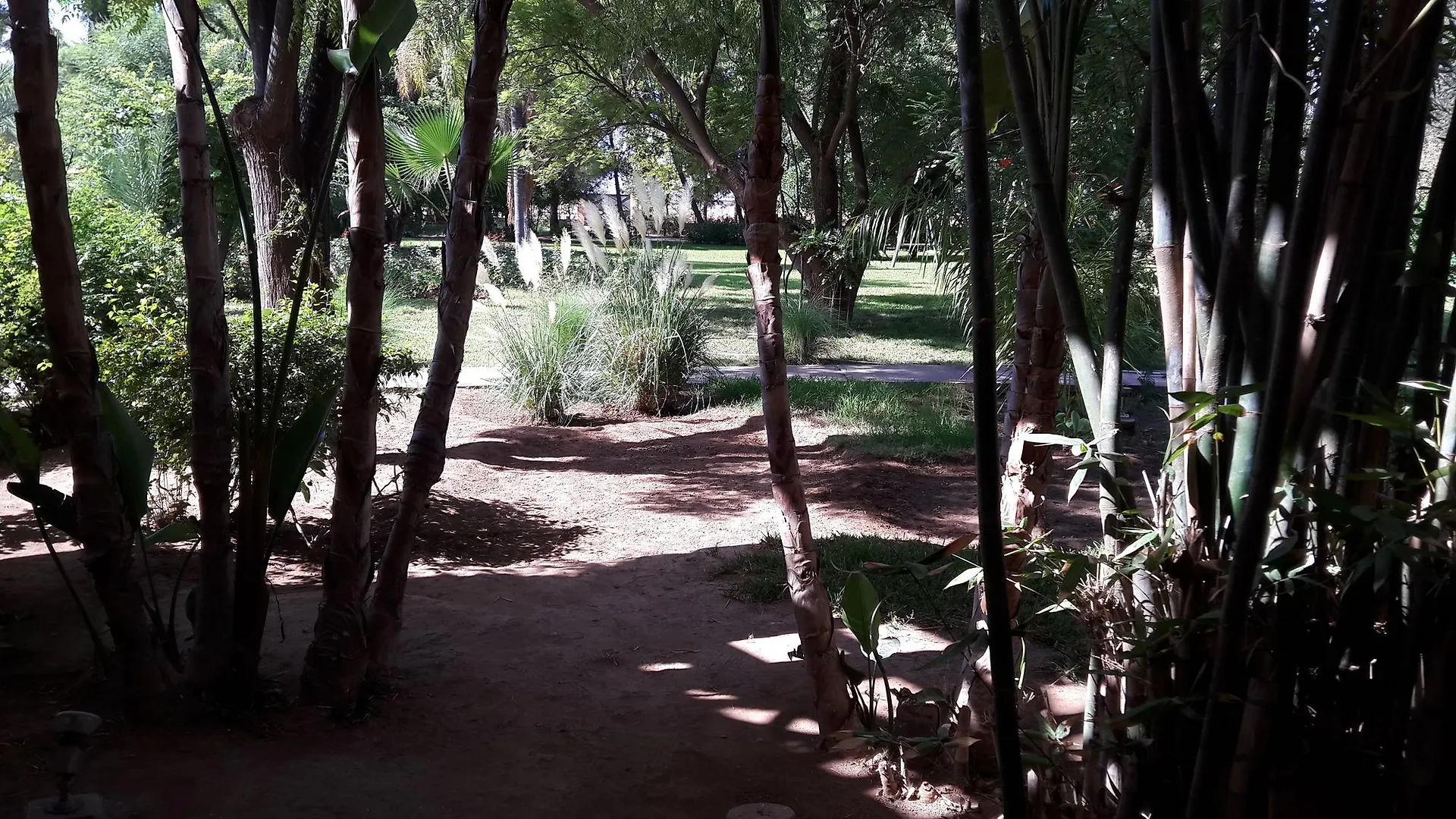 La Vie En Rose - Horses & Dogs House Bed & Breakfast Ait Hamid