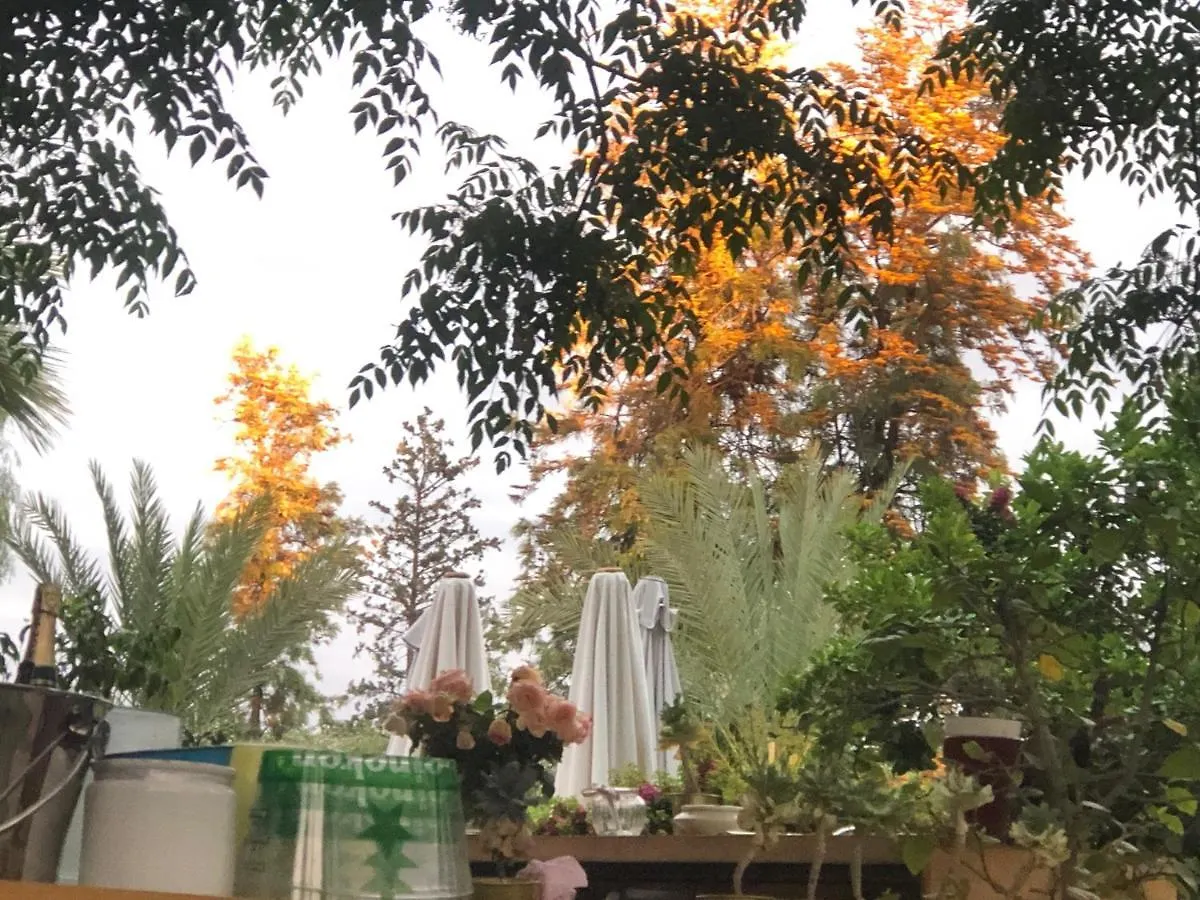 La Vie En Rose - Horses & Dogs House Bed & Breakfast Ait Hamid 3*,