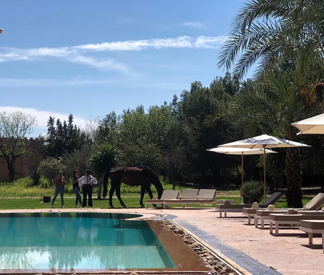 La Vie En Rose - Horses & Dogs House Bed & Breakfast Ait Hamid
