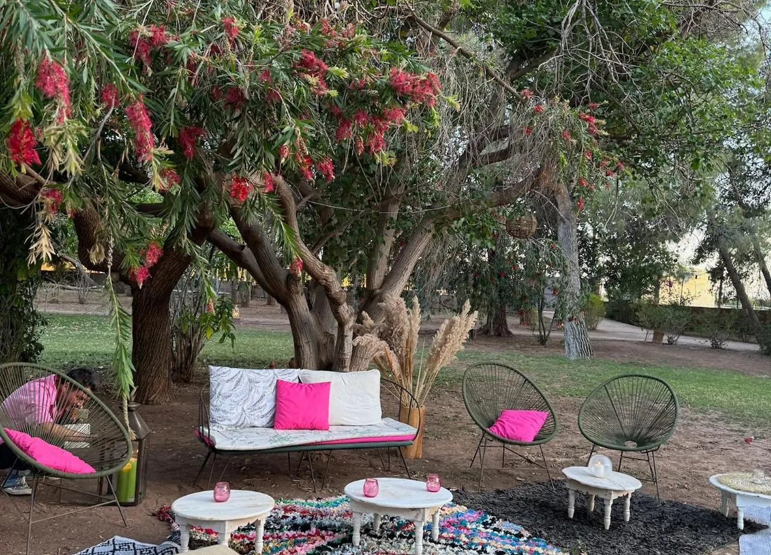La Vie En Rose - Horses & Dogs House Bed & Breakfast Ait Hamid 3*,  Morocco