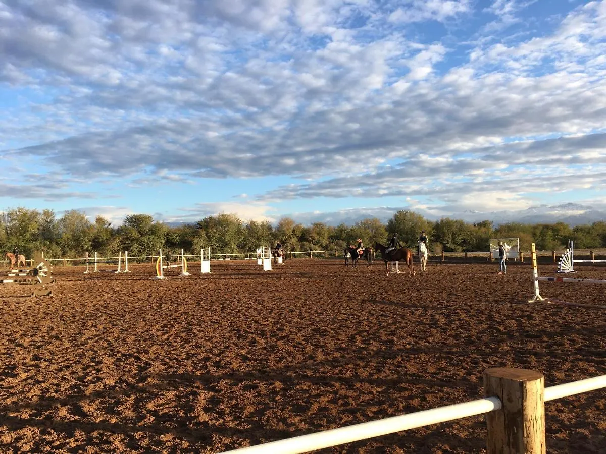 Aït Hamid La Vie En Rose - Horses & Dogs House Bed & Breakfast