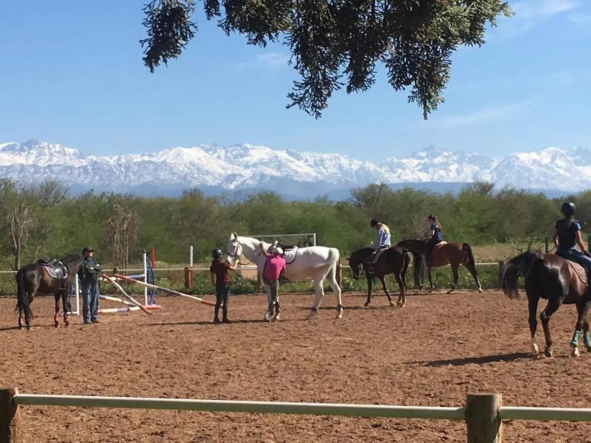 La Vie En Rose - Horses & Dogs House Bed & Breakfast Ait Hamid