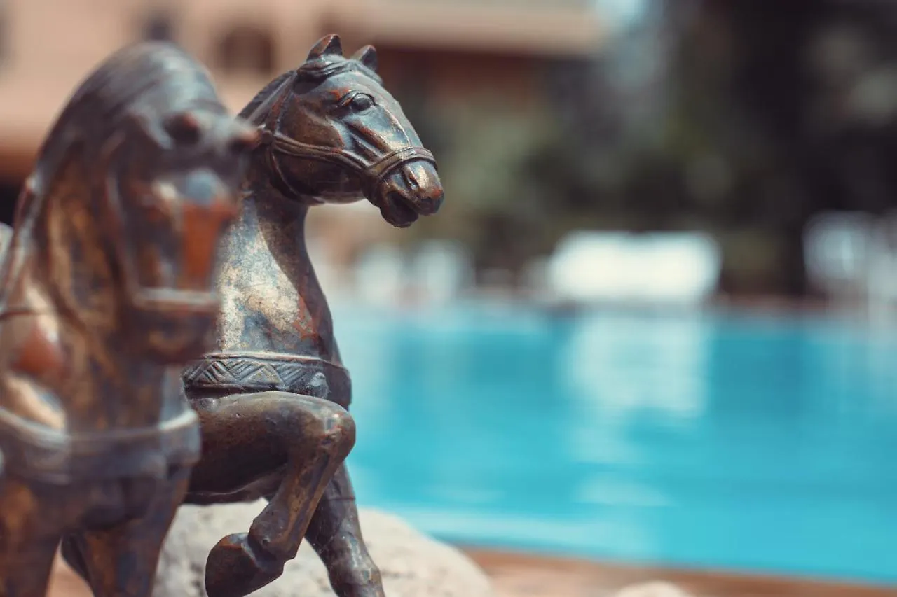 La Vie En Rose - Horses & Dogs House Bed & Breakfast Ait Hamid