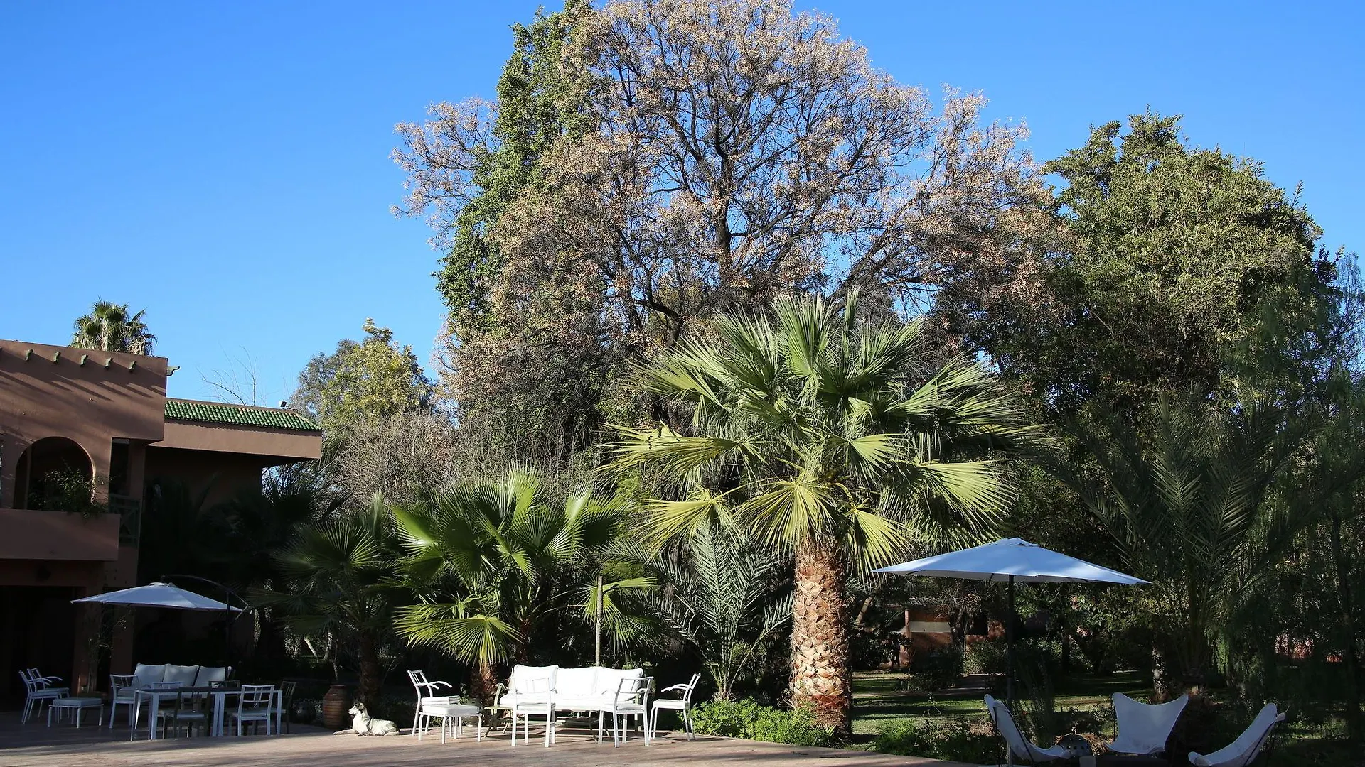 La Vie En Rose - Horses & Dogs House Bed & Breakfast Ait Hamid