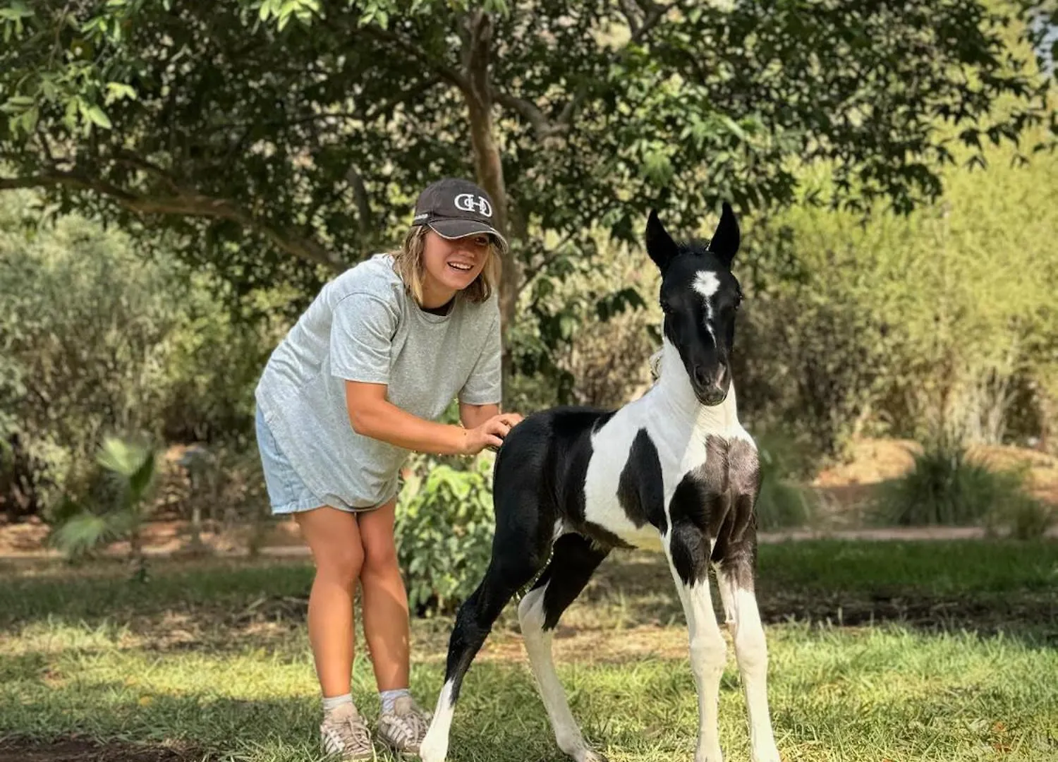 La Vie En Rose - Horses & Dogs House Bed & Breakfast Ait Hamid Morocco